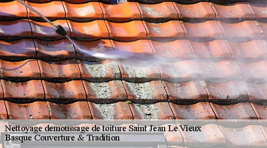 Nettoyage demoussage de toiture  saint-jean-le-vieux-64220 Basque Couverture & Tradition