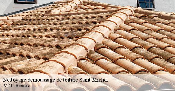 Nettoyage demoussage de toiture  saint-michel-64220 M.T. Rénov