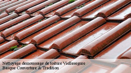 Nettoyage demoussage de toiture  64150