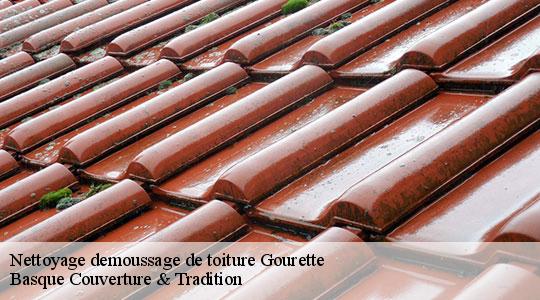 Nettoyage demoussage de toiture  64440