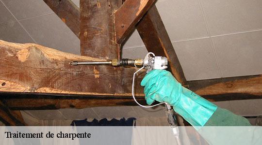 Traitement de charpente  64700
