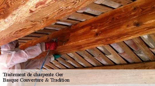 Traitement de charpente  64530