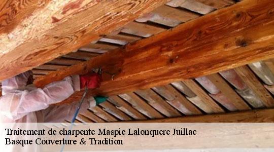 Traitement de charpente  64350