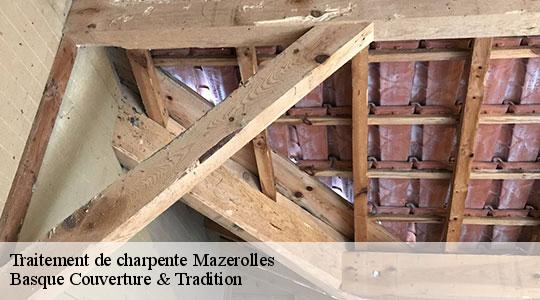 Traitement de charpente  64230