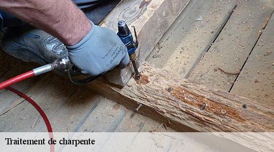 Traitement de charpente  64220
