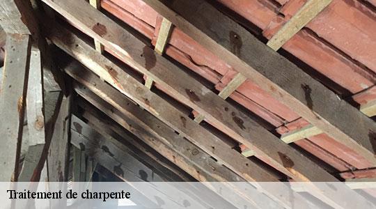 Traitement de charpente  64220