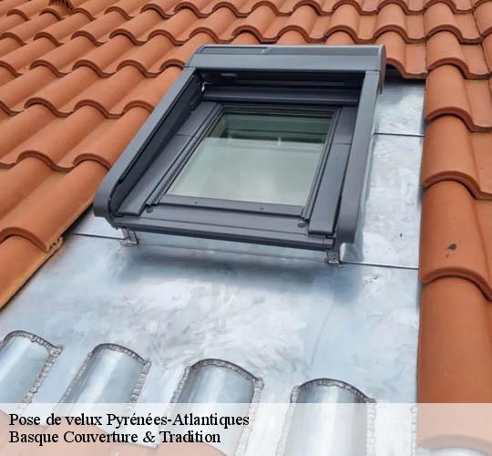Pose de velux 64 Pyrénées-Atlantiques  Basque Couverture & Tradition
