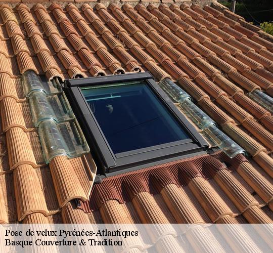 Pose de velux Pyrénées-Atlantiques 