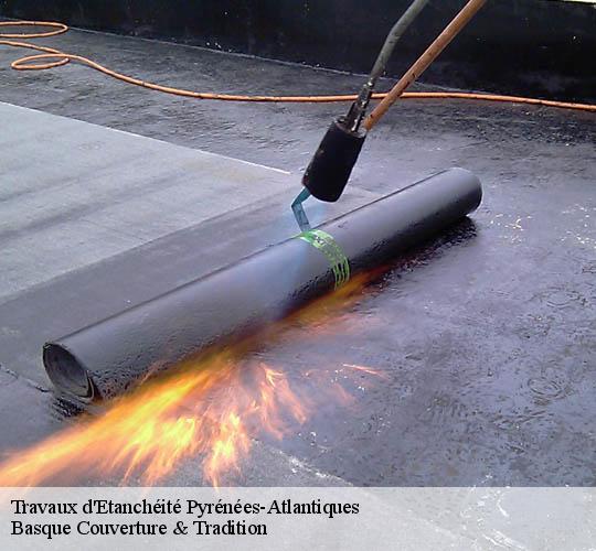 Travaux d'Etanchéité Pyrénées-Atlantiques 