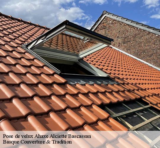 Pose de velux  64220