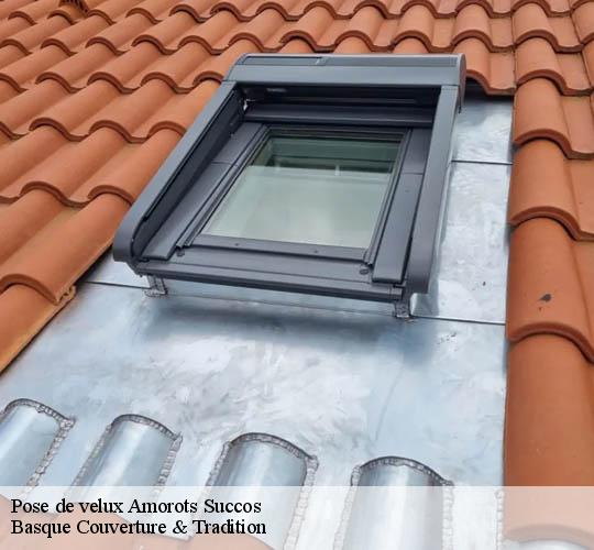 Pose de velux  amorots-succos-64120 Basque Couverture & Tradition