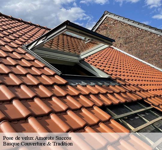 Pose de velux  64120