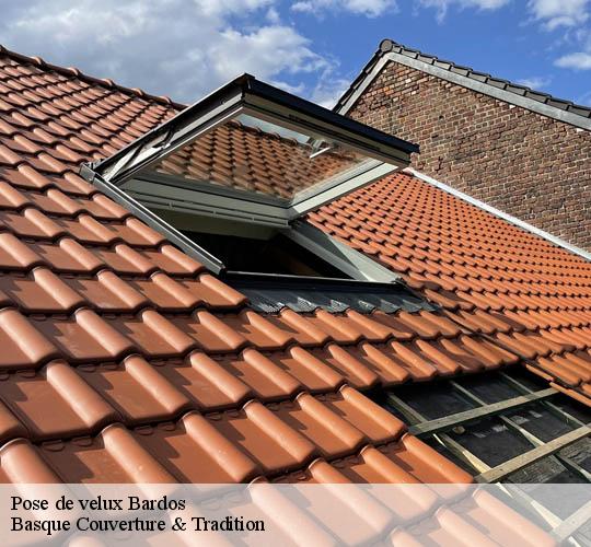 Pose de velux  64520