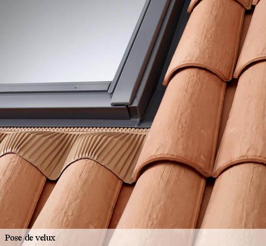 Pose de velux  64150