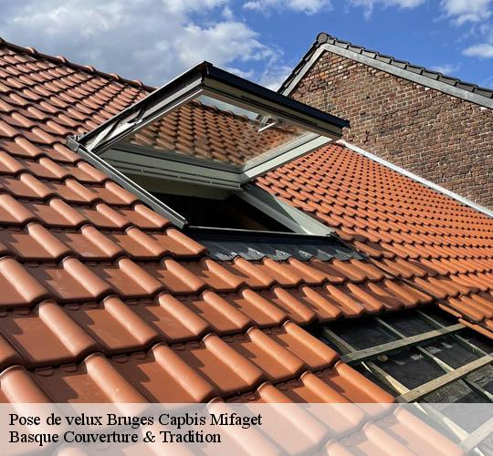 Pose de velux  64800