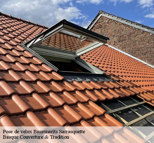 Pose de velux  64220