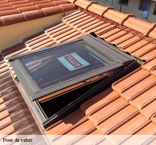 Pose de velux  64240