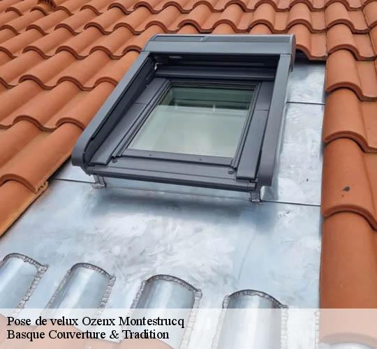 Pose de velux  ozenx-montestrucq-64300 Basque Couverture & Tradition