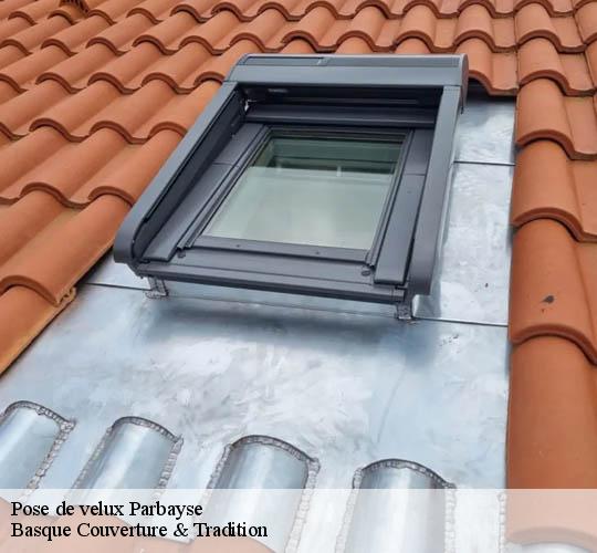 Pose de velux  parbayse-64360 Basque Couverture & Tradition