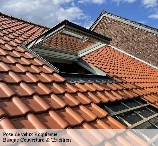 Pose de velux  64130