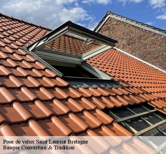 Pose de velux  64160
