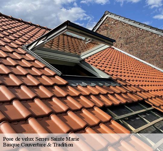 Pose de velux  64170
