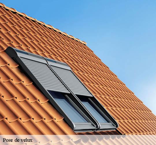 Pose de velux 64480