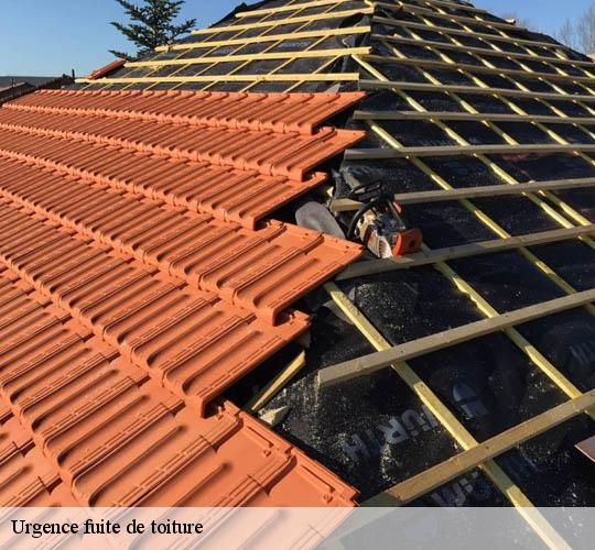 Urgence fuite de toiture  64350