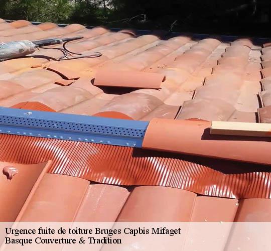 Urgence fuite de toiture  64800