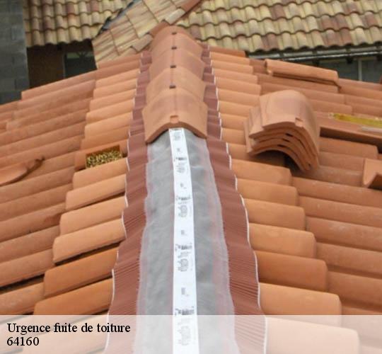 Urgence fuite de toiture  64160
