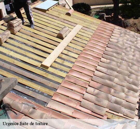 Urgence fuite de toiture  64990