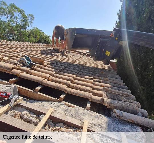 Urgence fuite de toiture  64990