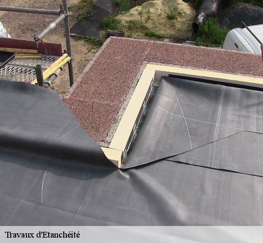 Travaux d'Etanchéité  64270