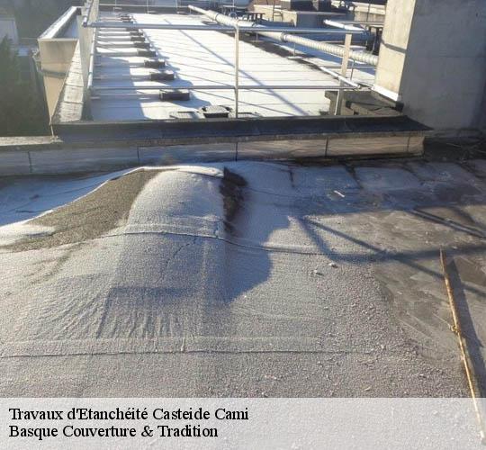 Travaux d'Etanchéité  casteide-cami-64170 Basque Couverture & Tradition