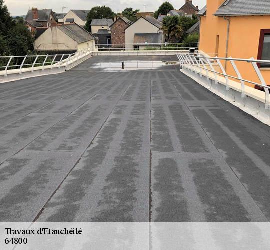 Travaux d'Etanchéité  64800