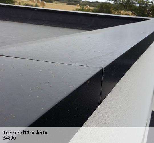 Travaux d'Etanchéité  64800