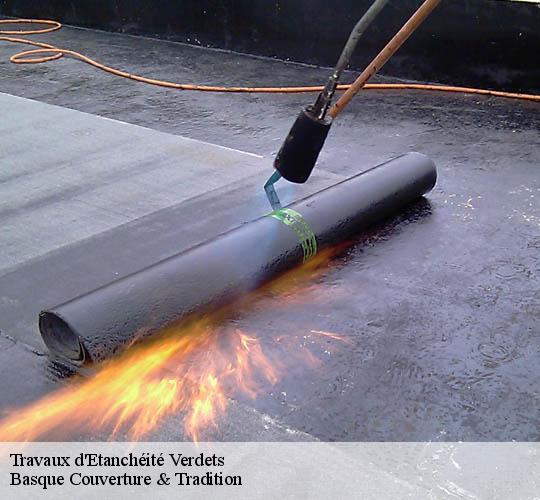 Travaux d'Etanchéité  64400